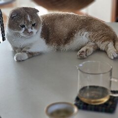 바유 프로필 사진